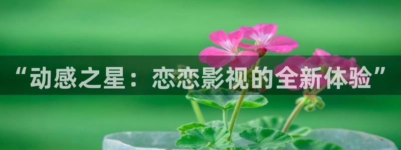 蔷薇风暴在线观看星辰影院